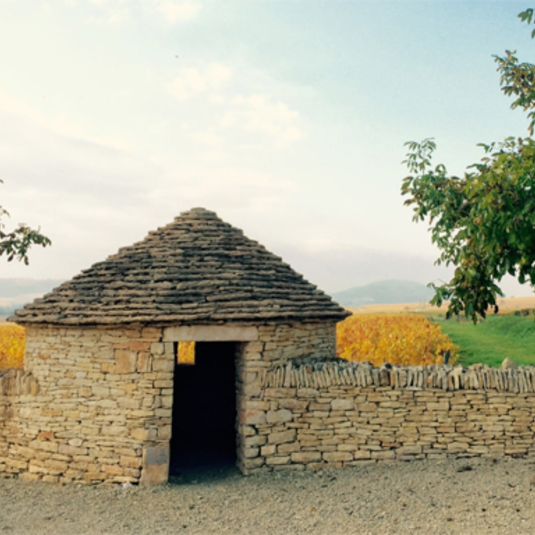 Domaine Fernand & Laurent Pillot Volnay