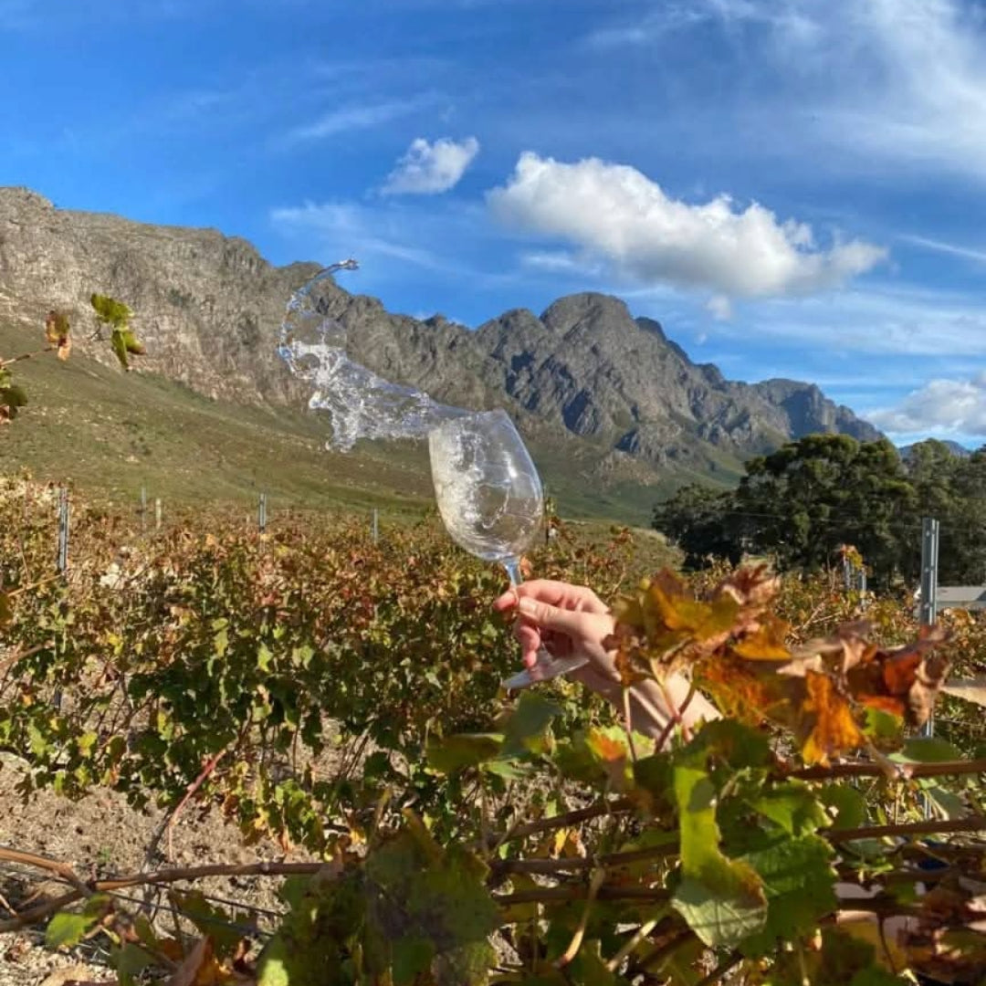 Wildeberg Amphora Semillon