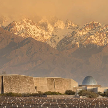 Santa Julia Vinhos Naturales Malbec