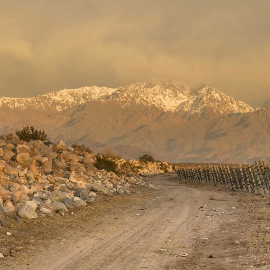 Zuccardi Apelacion Cabernet Franc