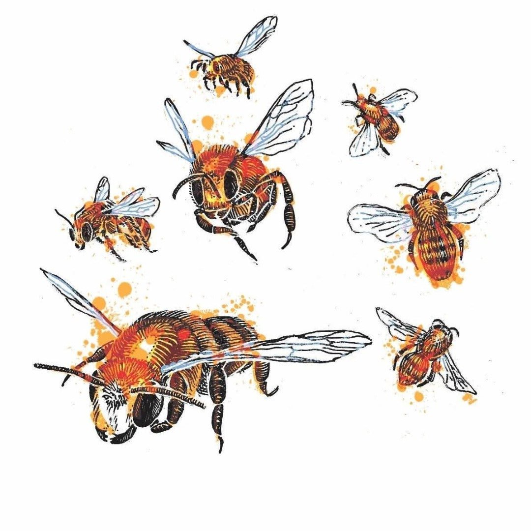 Abelha Organic Cachaca 3yo Gold - Latitude Wine & Liquor Merchant