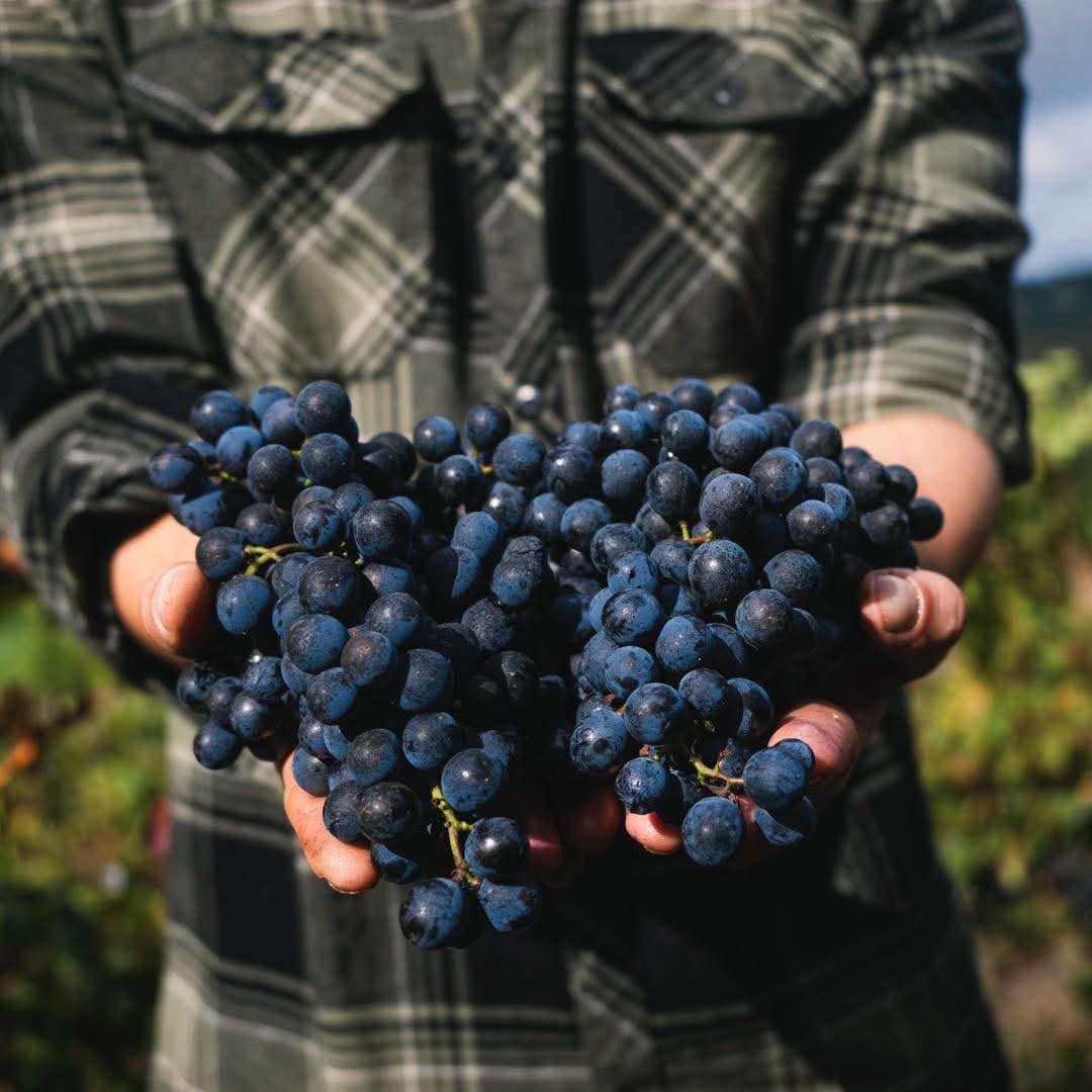 Adega Ponte da Boga Blanco Lexitimo DO Ribeira Sacra - Latitude Wine & Liquor Merchant