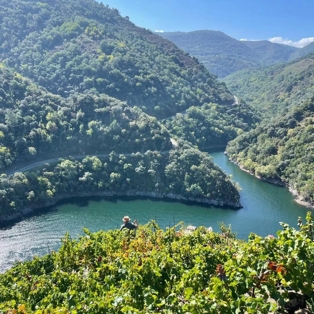 Adega Ponte da Boga Blanco Lexitimo DO Ribeira Sacra - Latitude Wine & Liquor Merchant
