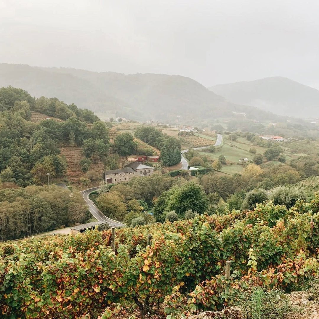 Adega Ponte da Boga Blanco Lexitimo DO Ribeira Sacra - Latitude Wine & Liquor Merchant