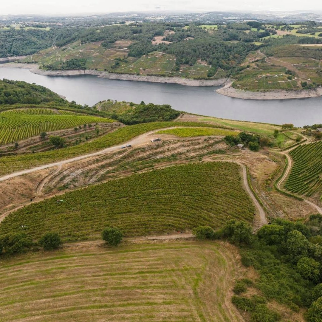 Adega Ponte da Boga Blanco Lexitimo DO Ribeira Sacra - Latitude Wine & Liquor Merchant