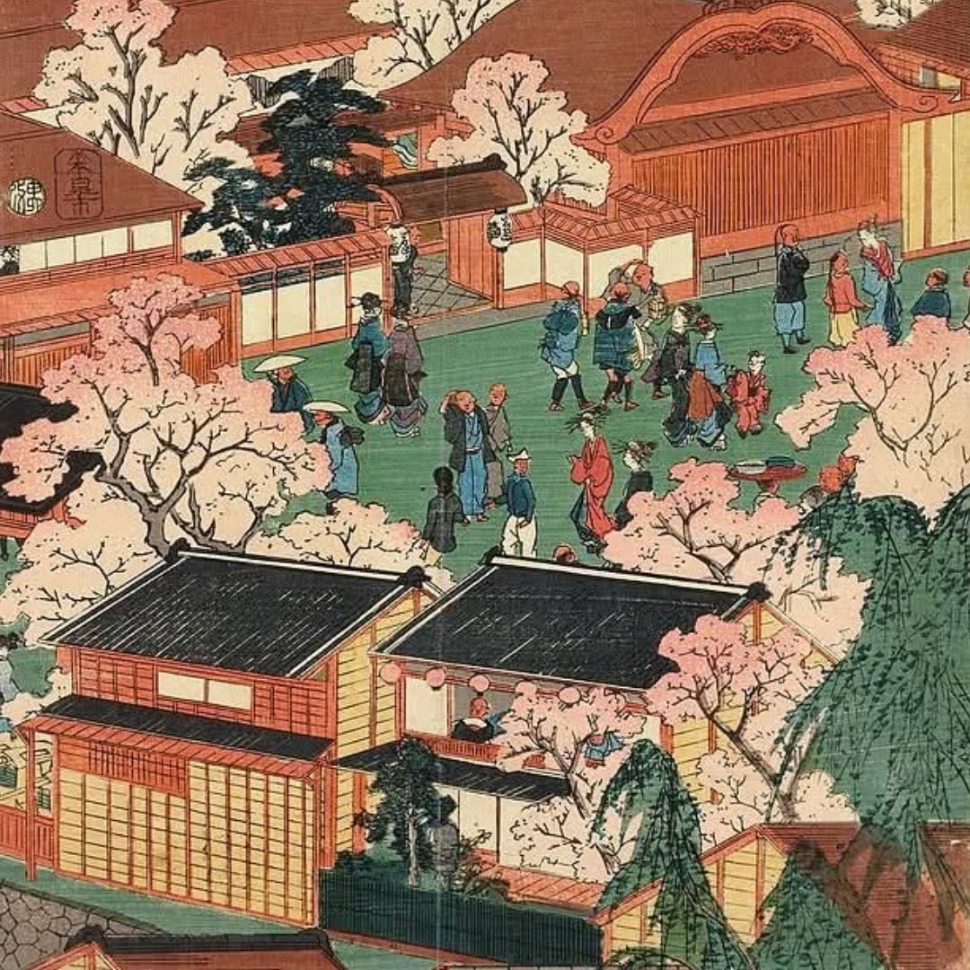 Akashi - Tai Junmai Tokubetsu 72cl - Latitude Wine & Liquor Merchant