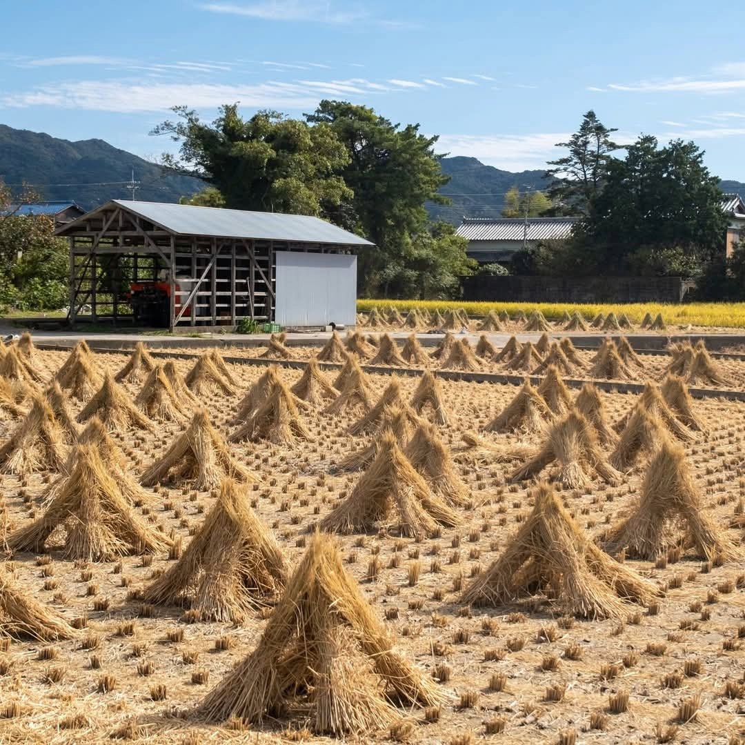 Akashi - Tai Junmai Tokubetsu 72cl - Latitude Wine & Liquor Merchant