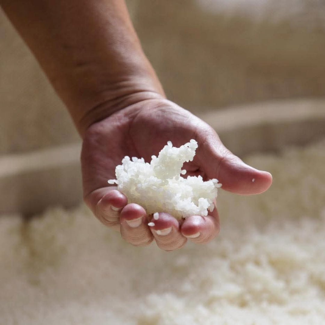 Akashi - Tai Junmai Tokubetsu 72cl - Latitude Wine & Liquor Merchant