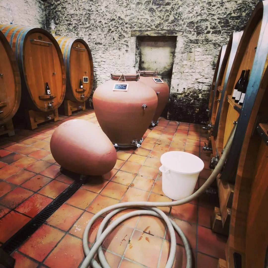 Albert De Conti Sauvignon/Chenin Pet Nat