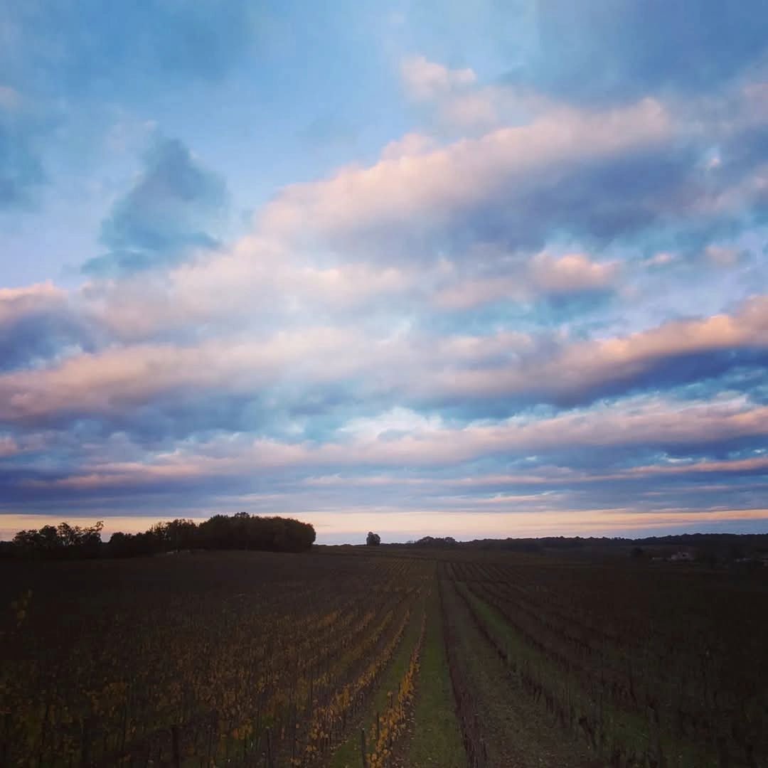 Albert De Conti Sauvignon/Chenin Pet Nat - Latitude Wine & Liquor Merchant