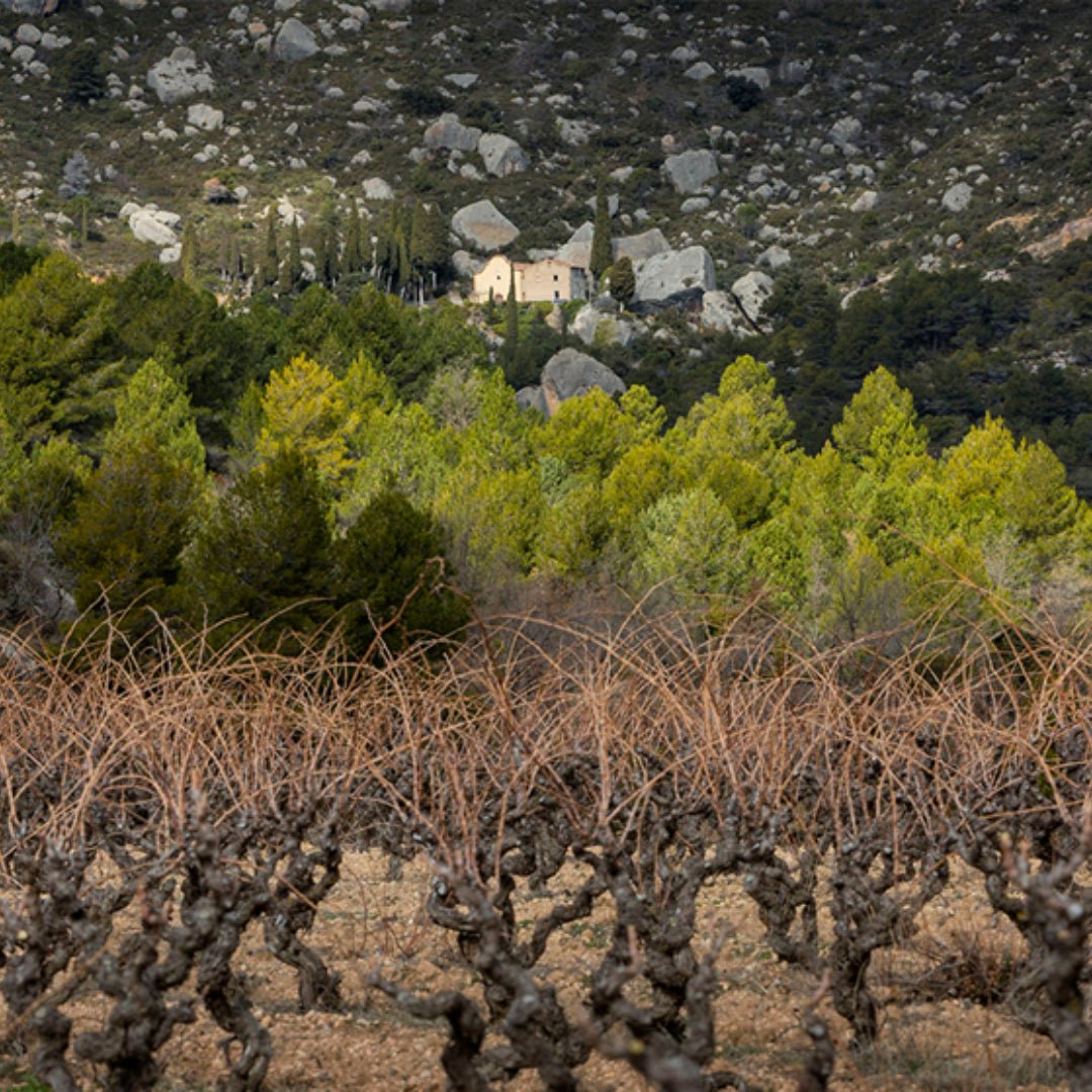 Alfredo Arribas Vinsnus inStabile Priorat - Latitude Wine & Liquor Merchant