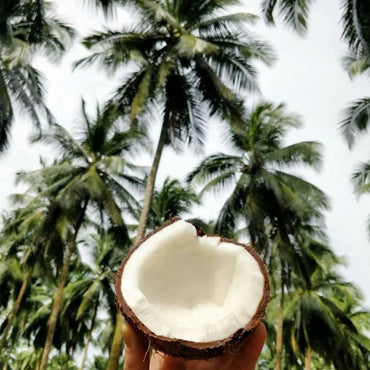 Aluna Cold Brew Coffee & Coconut Liqueur 50cl - Latitude Wine & Liquor Merchant