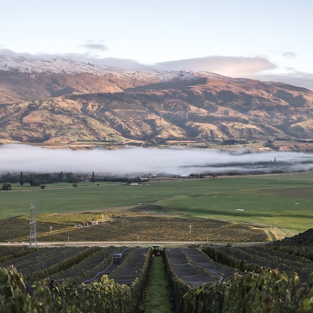 Amen Break Quarry Ridge Vineyard Chardonnay