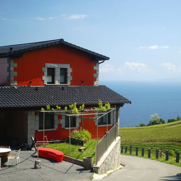 Ameztoi Txakoli Rosado - Latitude Wine & Liquor Merchant