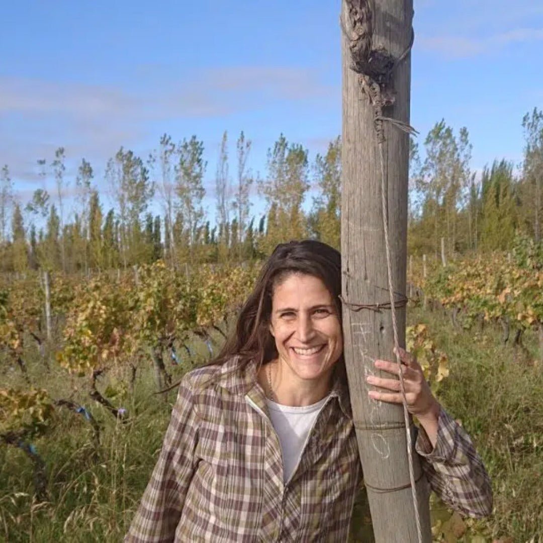 Aniello Patagonian Pinot Noir - Latitude Wine & Liquor Merchant