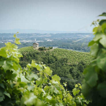 Anthony Paret Valvigneyre Cotes Du Rhone Syrah - Latitude Wine & Liquor Merchant