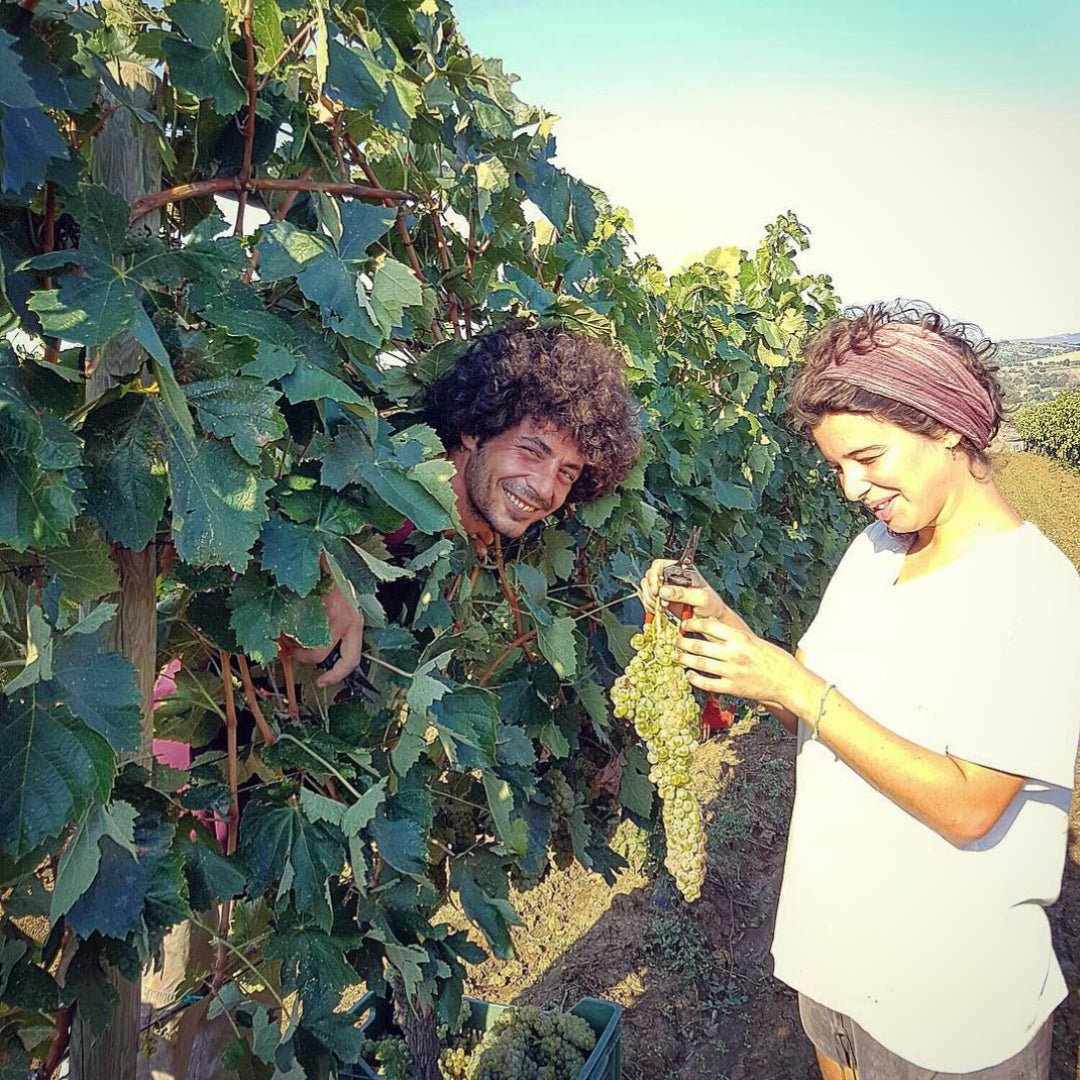 Antonio Camillo Morellino Di Scansano - Latitude Wine & Liquor Merchant