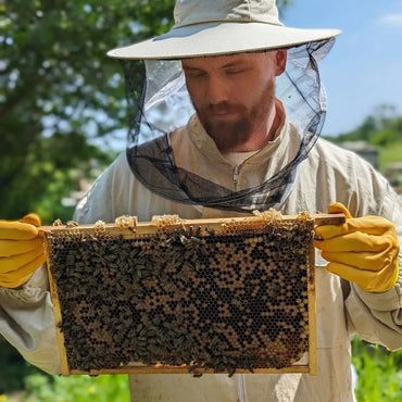 Avallen Calvados FrugalPac - Latitude Wine & Liquor Merchant