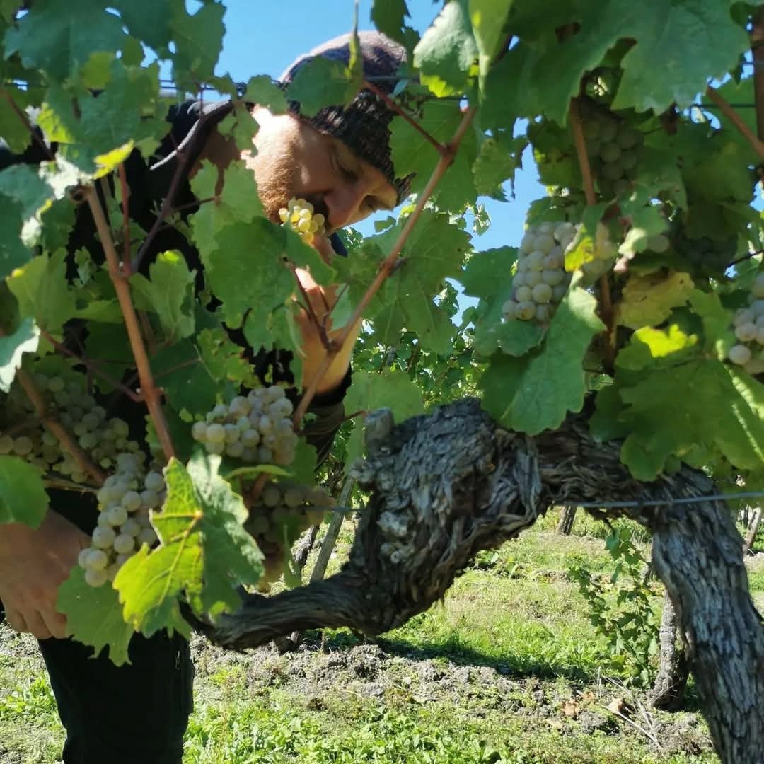 Axel Pauly Lieserer Niederberg - Helden Riesling Kabinett - Latitude Wine & Liquor Merchant