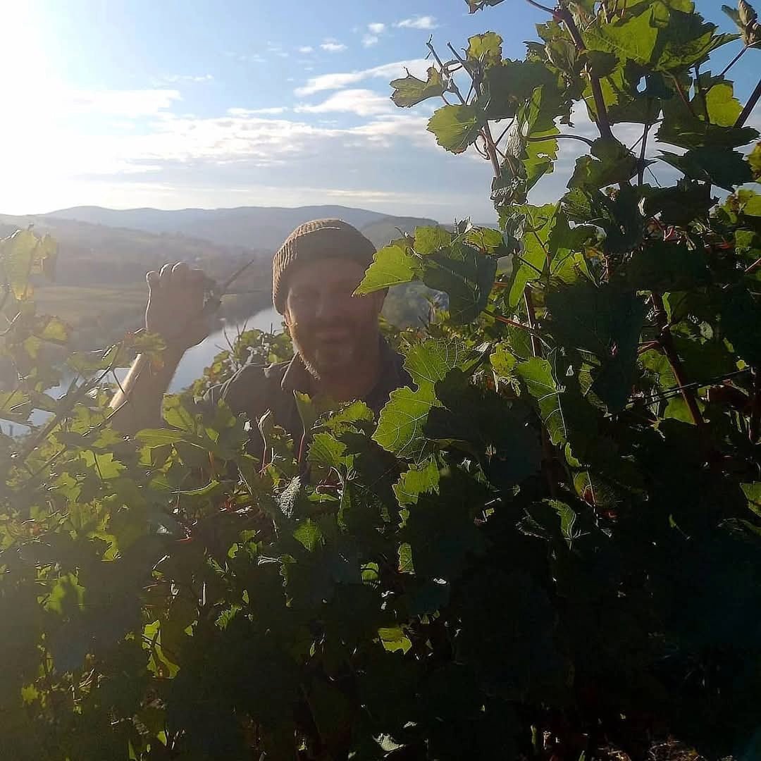 Axel Pauly Niederberg-Helden Kabinett Riesling