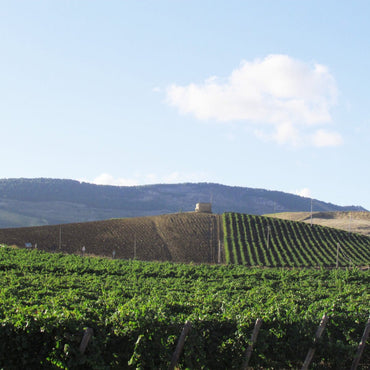 Baglio Gibellina Merlot - Latitude Wine & Liquor Merchant