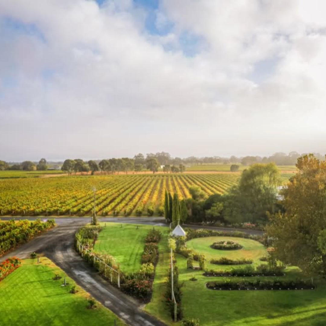 Balnaves of Coonawarra Cabernet Sauvignon