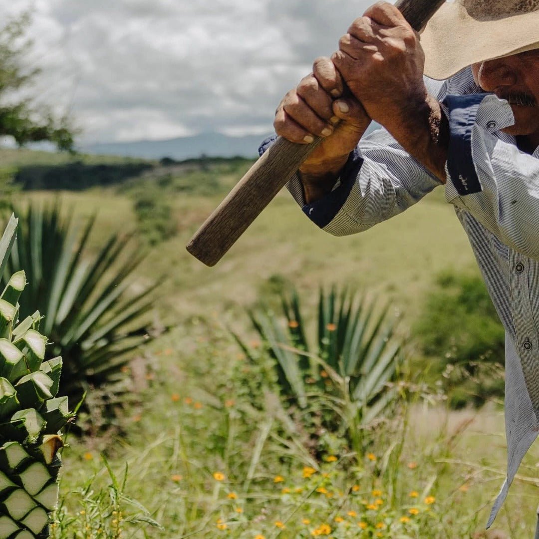 Banhez Mezcal Tepeztate - Latitude Wine & Liquor Merchant