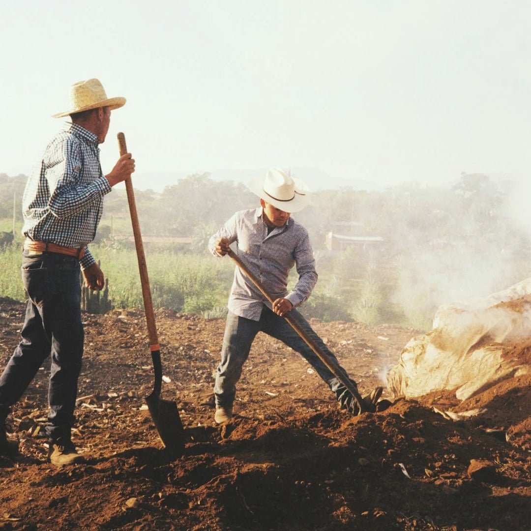 Banhez Mezcal Tepeztate - Latitude Wine & Liquor Merchant