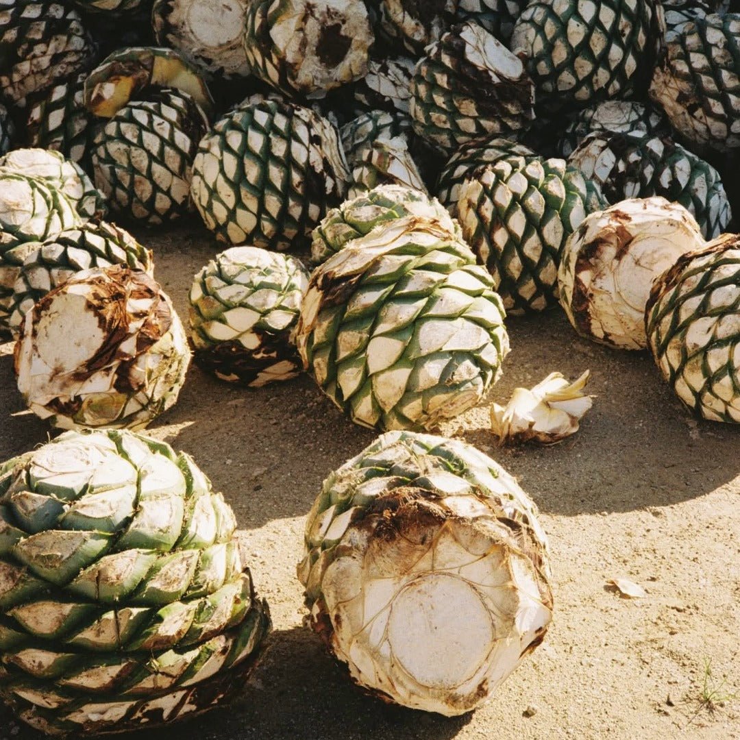 Banhez Mezcal Tepeztate - Latitude Wine & Liquor Merchant