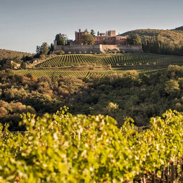 Barone Ricasoli Brolio Chianti Classico - Latitude Wine & Liquor Merchant