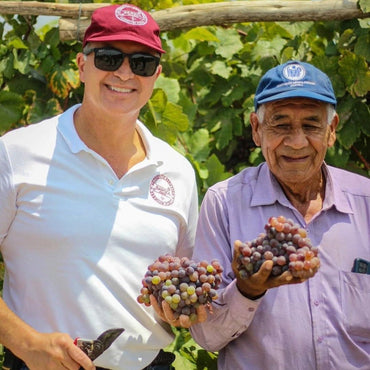 Barsol Quebranta Primero - Latitude Wine & Liquor Merchant