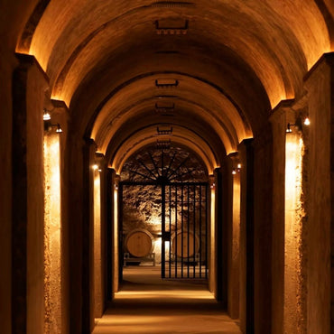 Benegas Estate Finca Libertad Single Vineyard Sangiovese - Latitude Wine & Liquor Merchant