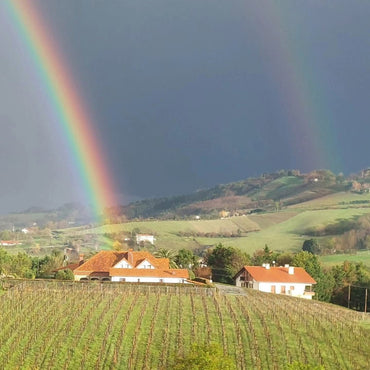 Bodega Agerre Txakoli - Latitude Wine & Liquor Merchant