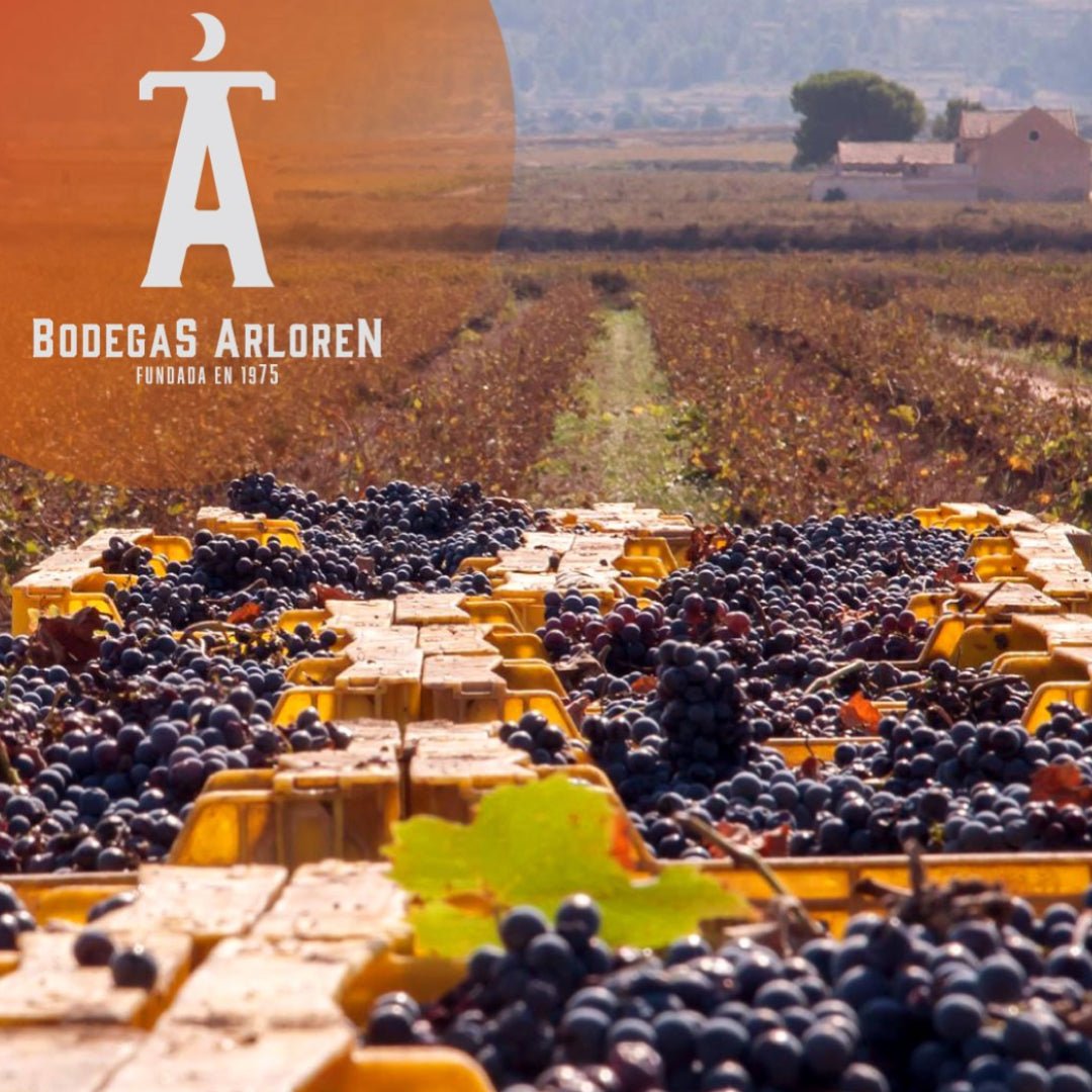 Bodegas Arloren Paca Arloren Verdejo Riesling - Latitude Wine & Liquor Merchant