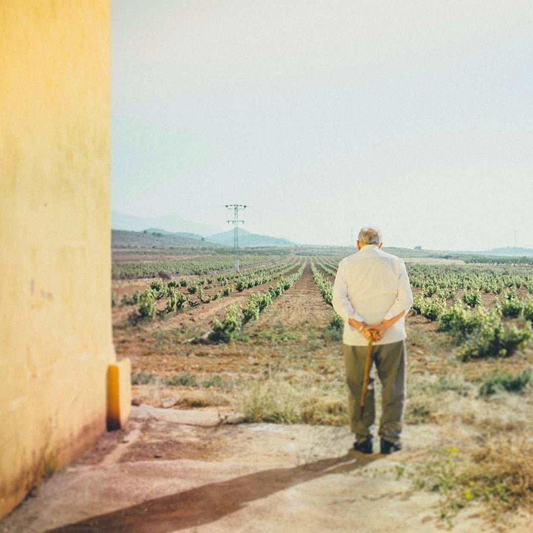 Bodegas Arloren Paca Arloren Verdejo Riesling - Latitude Wine & Liquor Merchant
