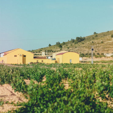 Bodegas Arloren Paca Arloren Verdejo Riesling - Latitude Wine & Liquor Merchant