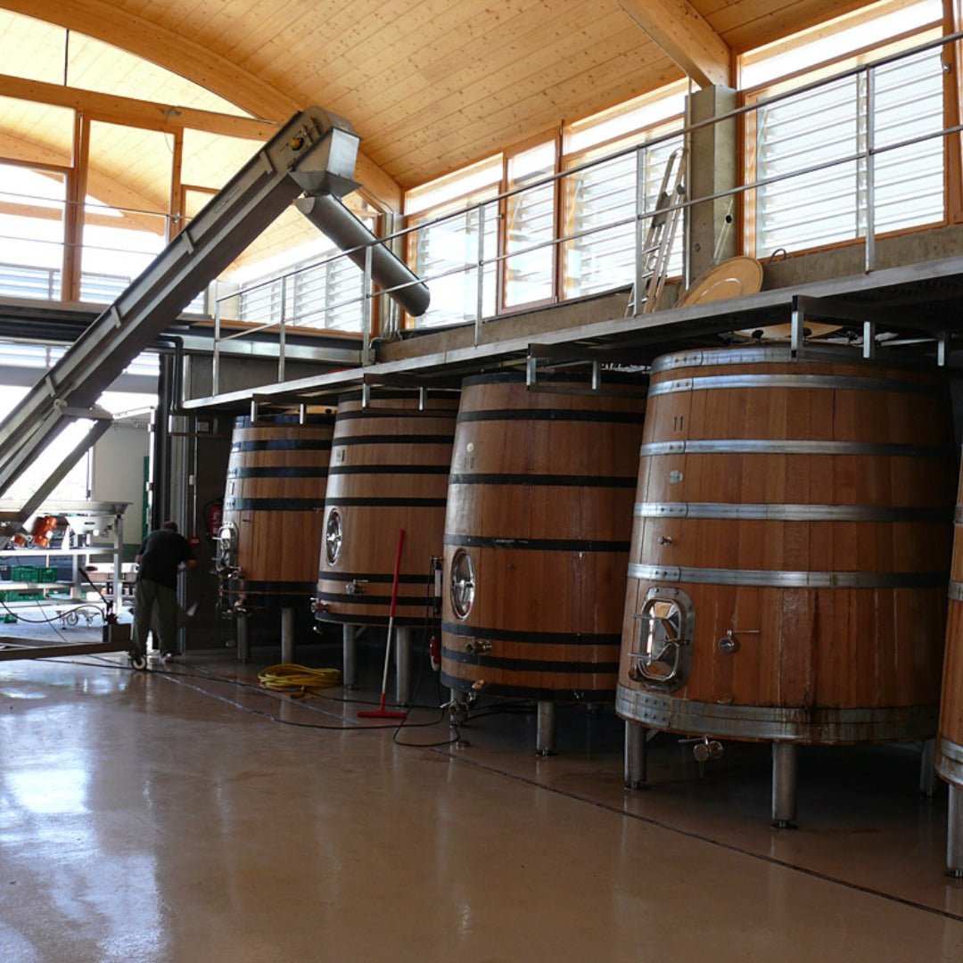 Bodegas Bernabeleva Camino De Navaherreros