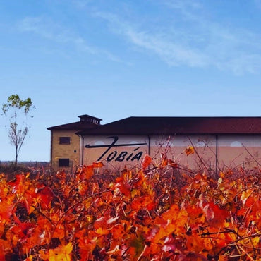 Bodegas Tobia Rioja Crianza - Latitude Wine & Liquor Merchant