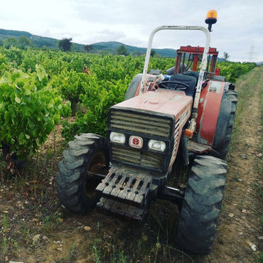 Bodegas y Vinedos Merayo Merayo Mencia DO Bierzo - Latitude Wine & Liquor Merchant