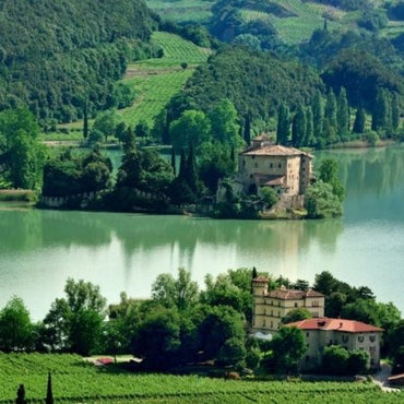 Bottega Vinai Trentino Gewurztraminer - Latitude Wine & Liquor Merchant