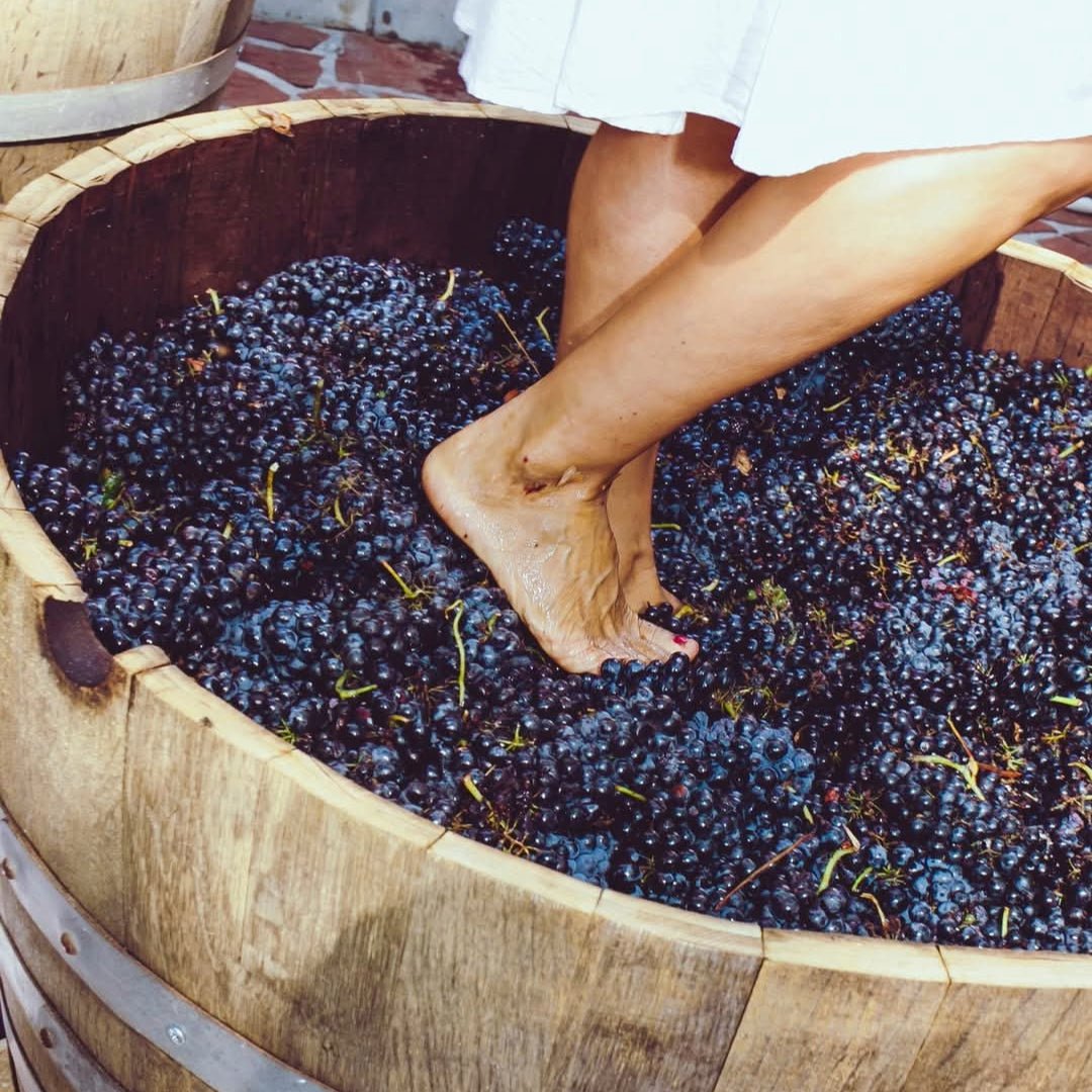 Bratanov Winery Merlot & Syrah Quel Mariage