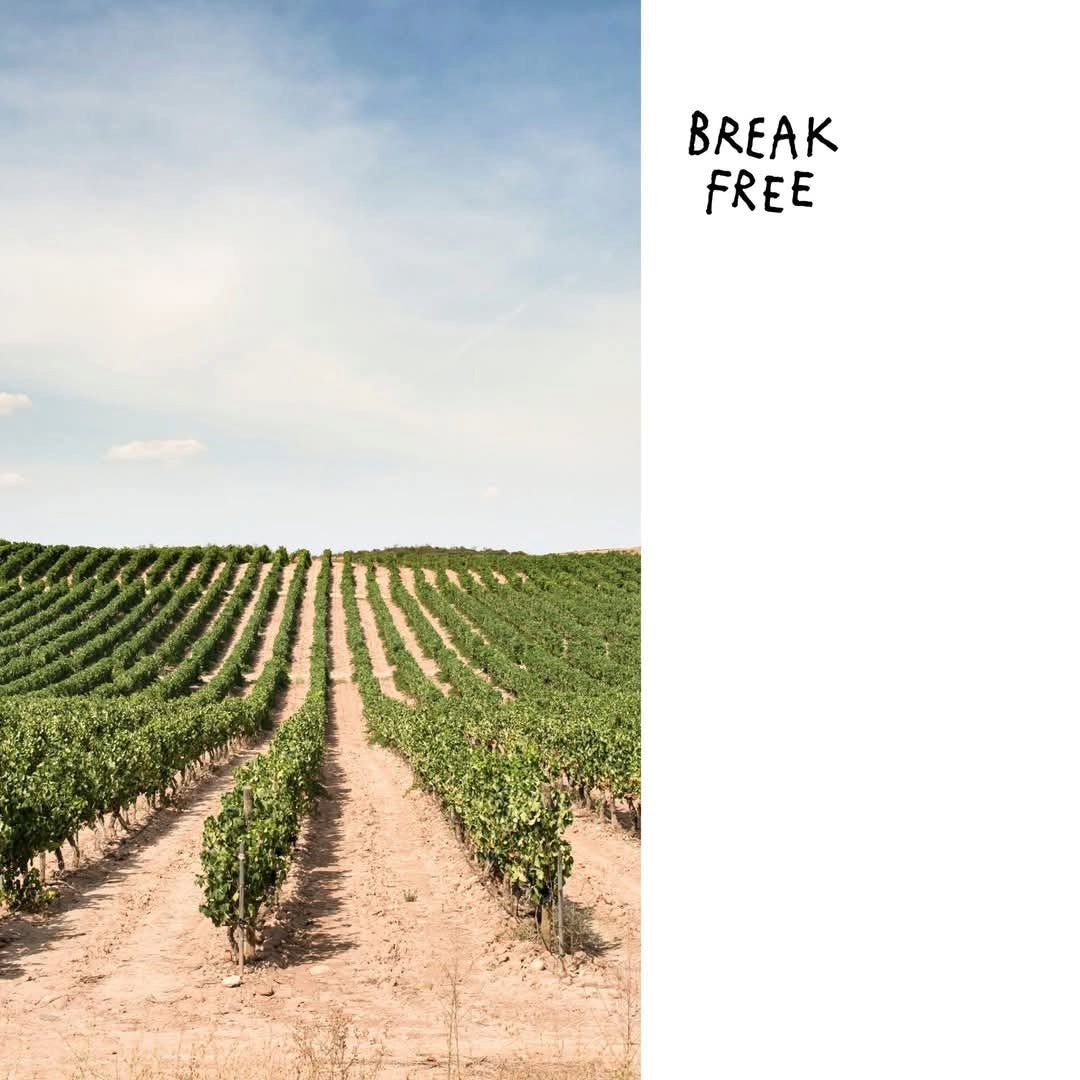 Break Free Nouveau Cabernet Franc - Latitude Wine & Liquor Merchant