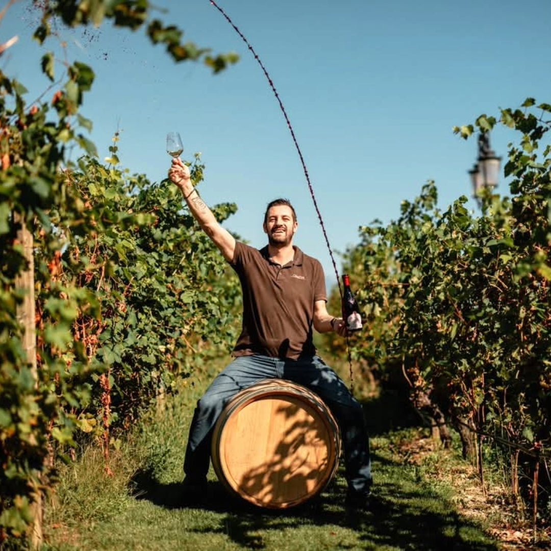 Ca dei Frati Lugana - Latitude Wine & Liquor Merchant