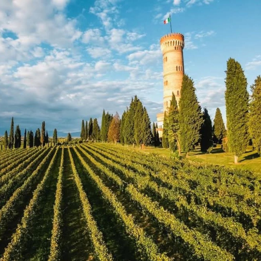 Ca dei Frati Lugana - Latitude Wine & Liquor Merchant