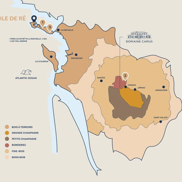 Camus Ile De Re Fine Island Cognac - Latitude Wine & Liquor Merchant