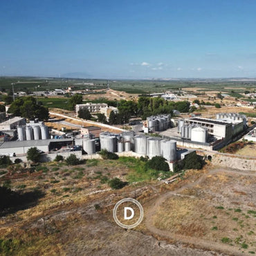 Cantina Diomede Canace Nero Di Troia - Latitude Wine & Liquor Merchant