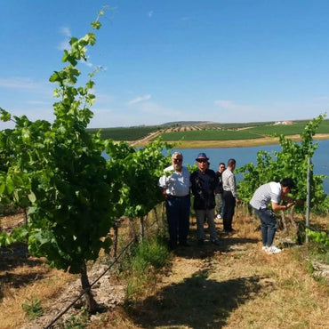 Casa Clara Monte Da Capela Alfrocheiro - Latitude Wine & Liquor Merchant