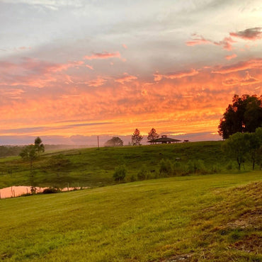 Castel Pujol Folklore Blanco - Latitude Wine & Liquor Merchant