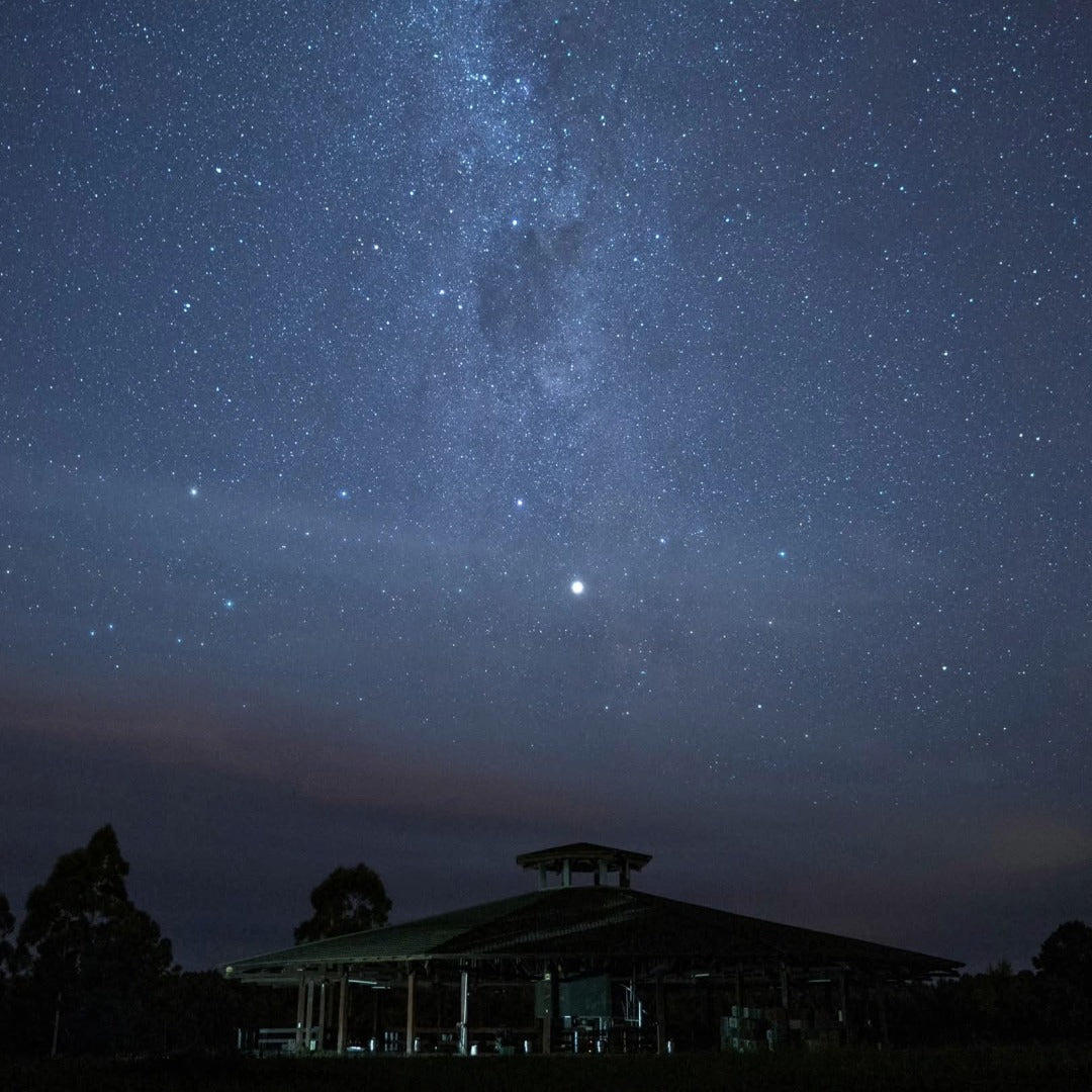 Castel Pujol Folklore Blanco - Latitude Wine & Liquor Merchant