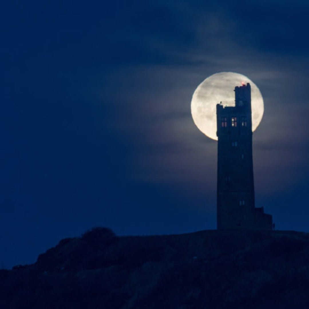 Castle Hill Blood Orange & Raspberry Gin - Latitude Wine & Liquor Merchant